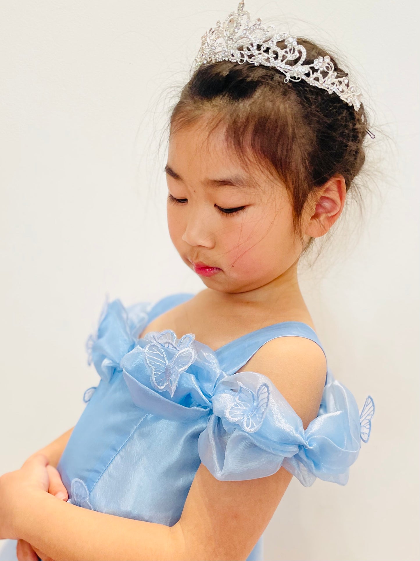 Cinderella Costume