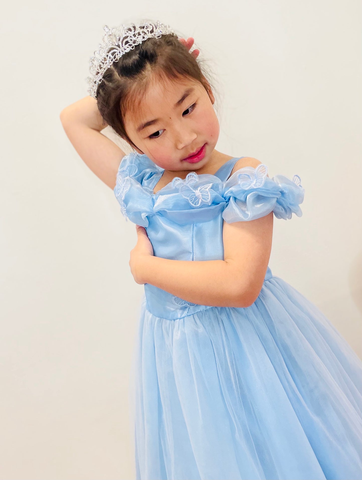 Cinderella Costume