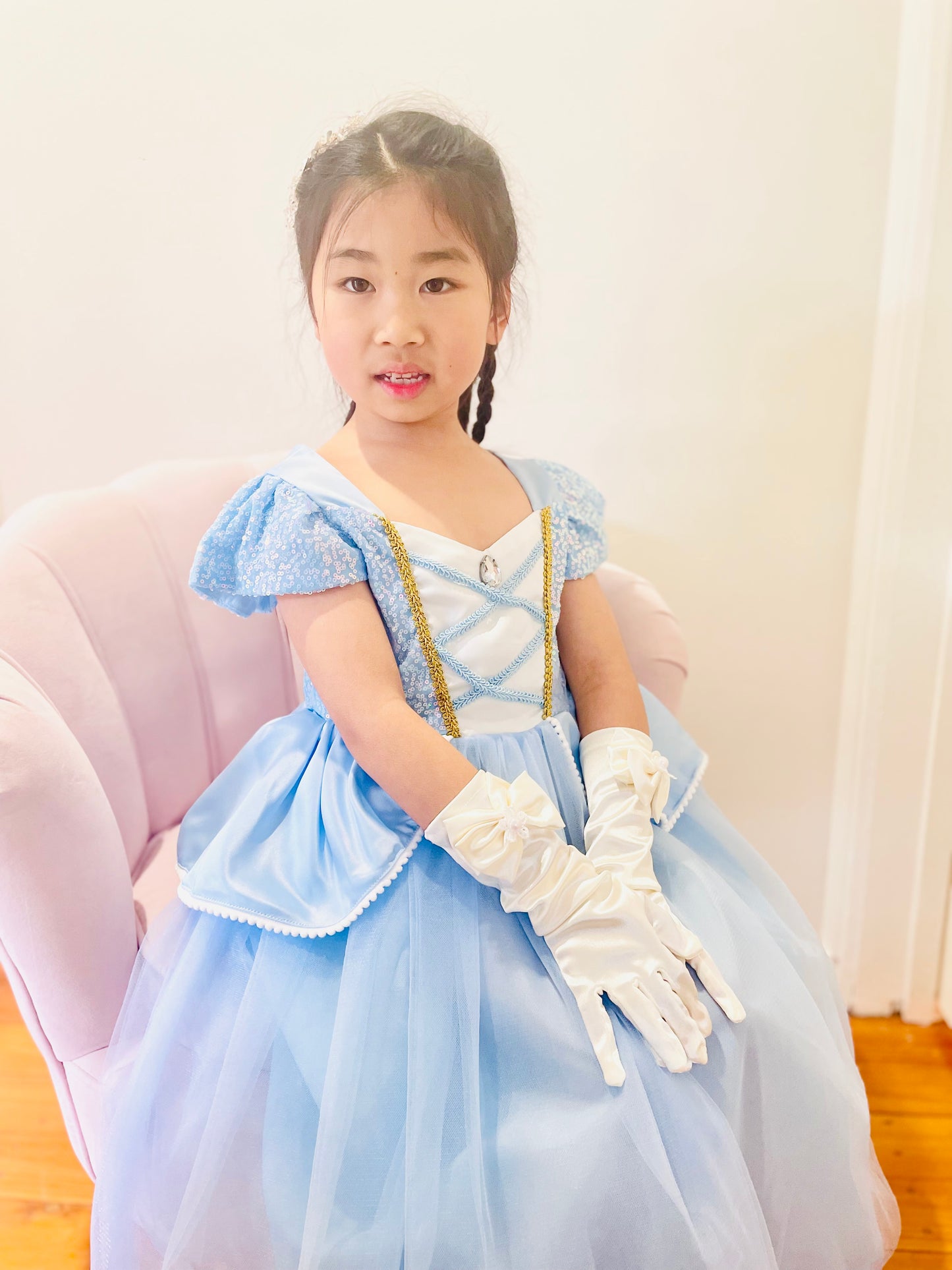 Cinderella Costume