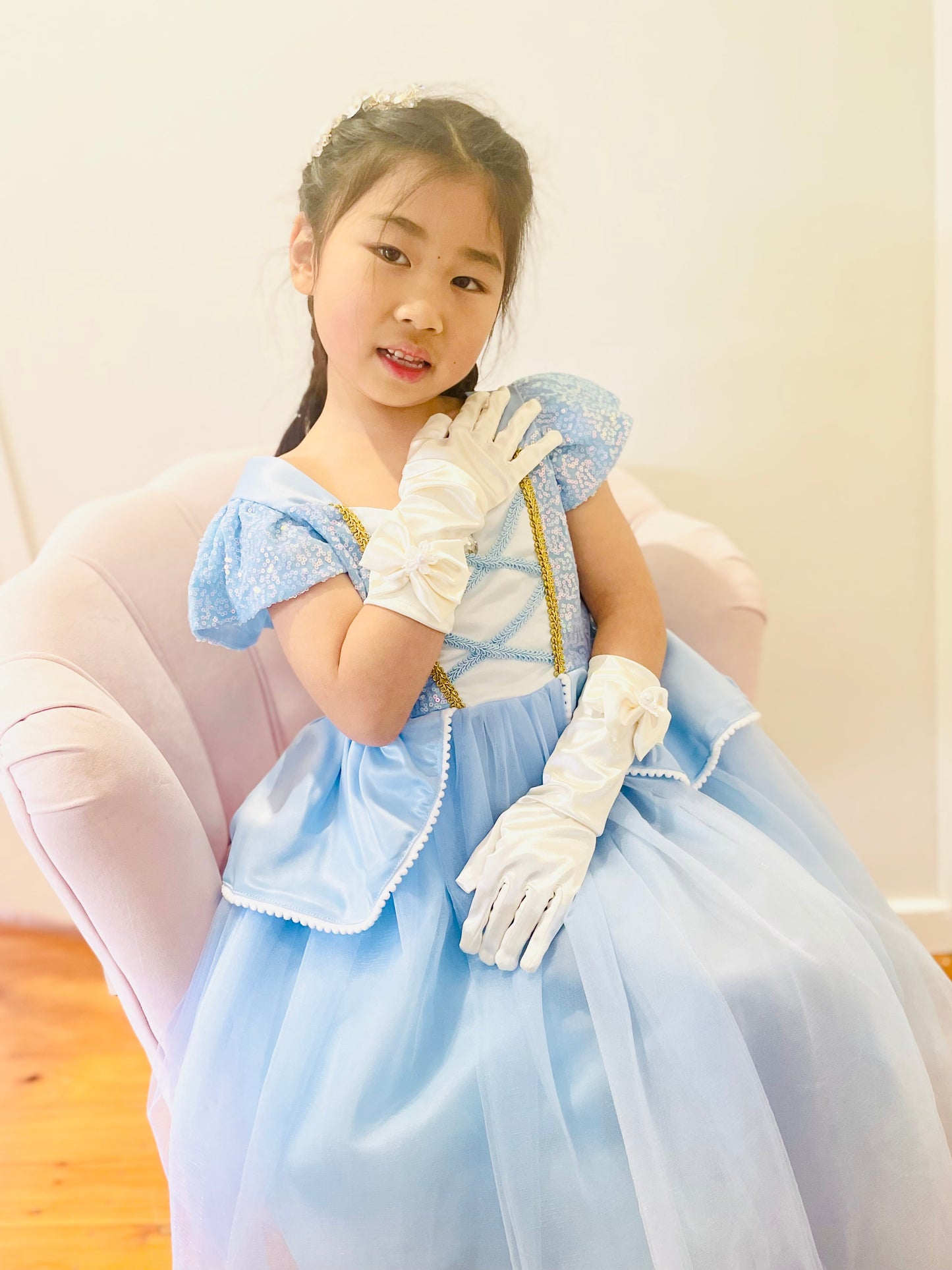 Cinderella Costume