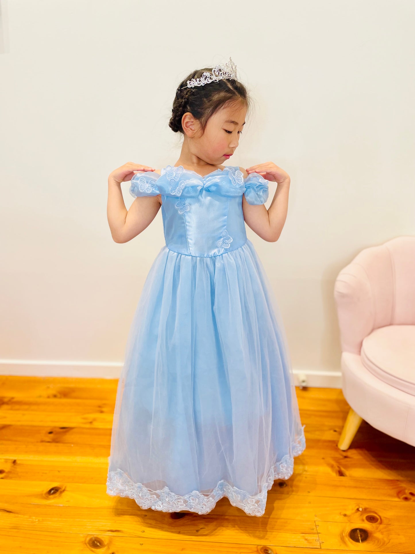 Cinderella Costume