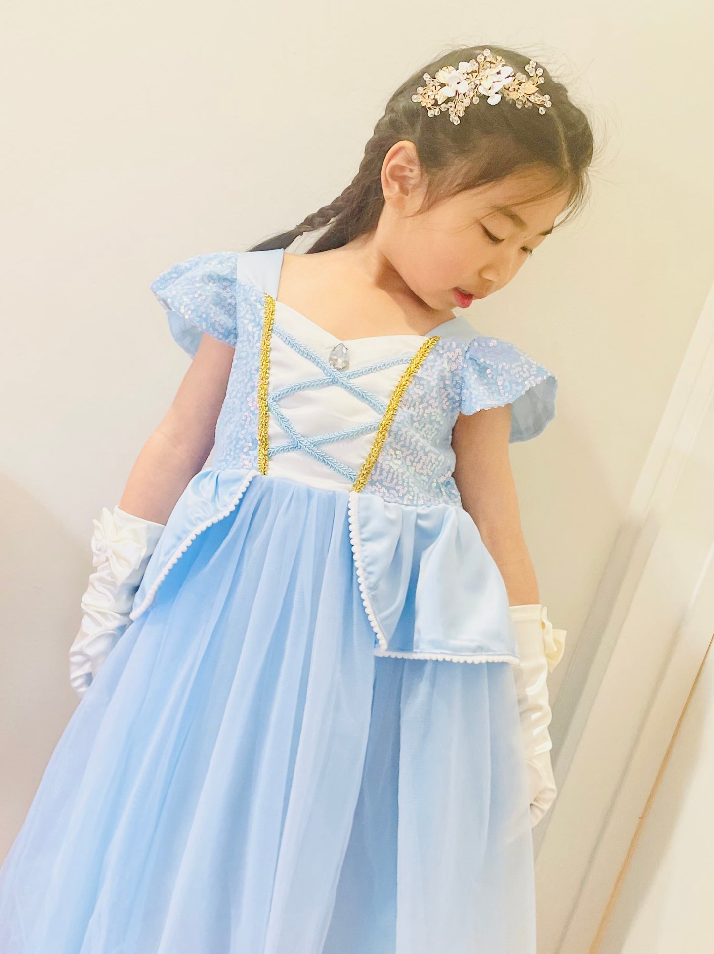 Cinderella Costume