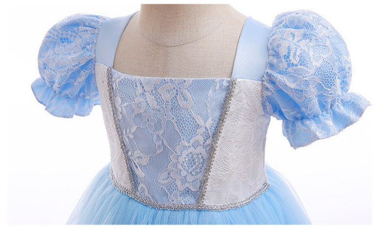 Cinderella Costume